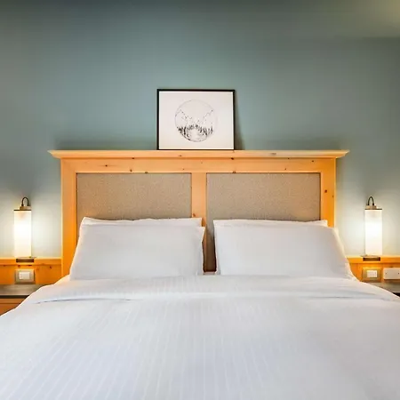 Radisson Residences Savoia Palace 4* 科尔蒂纳丹佩佐